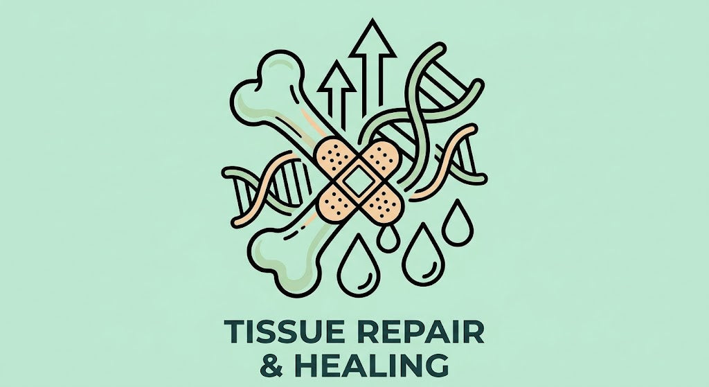 Tissue Repair, Healing & Injury Recovery