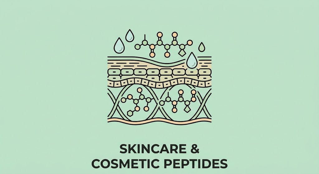 Skincare & Cosmetic Peptides